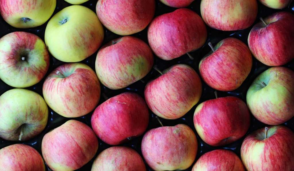 pesticidi su cibo biologico