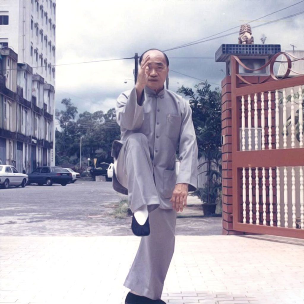 Tui Shou Huang Sheng Shyan