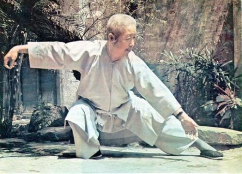 rilassamento nel taijiquan